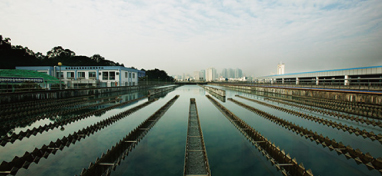 兩會聲音：城市“新洼地”之痛 如何補齊城市地下管網短板？