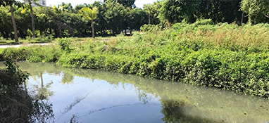 沿用城市思維？農(nóng)村黑臭水體治理“行不通”！